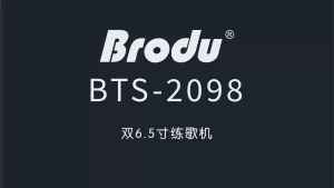 BTS-2098 Dual 13 inch LED light SPEAKER Wireless Power Subwoofer Outdoor Bluetooth Speaker