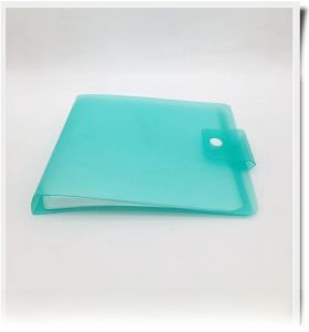 CD Storage Box DVD Recording Disk Optical Disk 12-Pack CD Album Disc Holder Computer Accessories Other Brand CD Bag