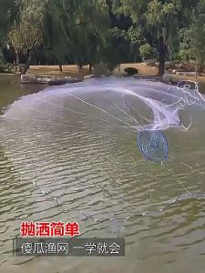 Hand Casting Fish Net Jala Ikan Jaring Ikan Fishing Net Bubu Ikan BuBu Payung Nylon Jala Udang Jaring Shrimp Ketam Mesh手抛网