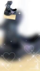 Catcha แคทช่ารองเท้านักเรียนหญิง ยี่ห้อ Catcha Size 30-42