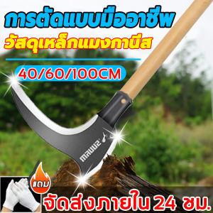 2 in 1 Kitty Cat Toy for Cats - Variety of Shapes & Sizes, Durable & Safe, with Sound & Motion - Helps Improve Cat's Behavior & Health