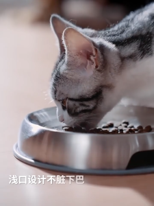 【🔥🔥SG SPOT】Cat Bowl Stainless Steel Cat Food Bowl for Indoor Cats Shallow Pet Plates Elevated Cat Bowl with Neck Support