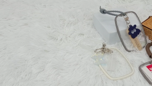 Lineworks Korean INS Oval Transparent Card Holder Keychain
