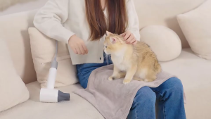 *SALE & FREE GIFT!* PETKIT Airsalon Max Pro Pet Dryer Pet Home Salon