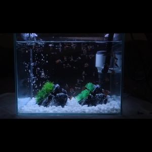 Hiasan Aquarium Batu Buatan ( MODEL C ) Unik Dekorasi Aquarium Tebing Batu Aquascape Tanaman Air Buatan Sintesis Ornamen Murah Aksesoris Akuarium TIPE C1