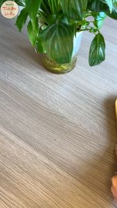 Nấm bụng dê khô 500g thịt dày size to nấm hầm canh nấu lẩu thơm ngon  tốt cho sức khỏe - Lãn Ông