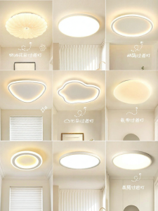 DGY | Multi-space Suitable Modern Minimalist Ceiling Light 263L