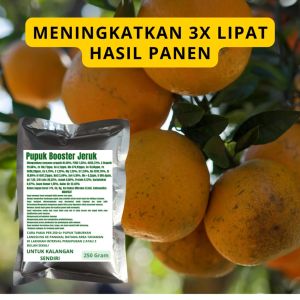 Pupuk Booster Jeruk: Meningkatkan Kualitas dan Produksi Buah