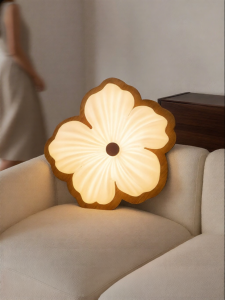 FANCY LAMP CLUB | Eye Protection Premium Bedroom Ceiling Light