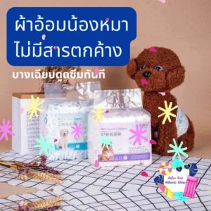 ชุดแพมเพิส อ้างอิง สำหรับสุนัขตัวผู้/เมีย ผ้าอ้อมน้องหมาซึบซับดี ไม่ทำให้สุนัขอึดอัด แพมเพิส