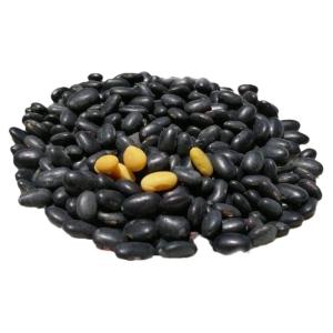 New Local Old Variety Heirloom Organic Black Soybeans
