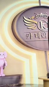 Katerina Fashion Korean Plain V-Neck Knee High Zipper Boots Shoes Heeled For Women #K-28