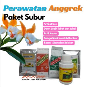 Pupuk Anggrek. Paket Perawatan Anggrek Subur