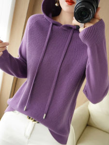 Spring & Fall New Hooded Cashmere Sweater Womens Thickened Sweater Casual Sweatshirt Chest Mesh Sweater Loose Plus Size Tide