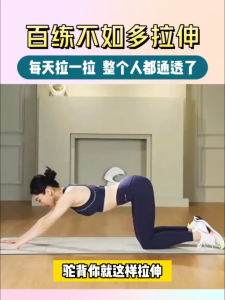 【正版书籍】 拉伸训练 彩色图谱 “筋长一寸 延寿十年” 拉伸解剖全书 练起来吧!