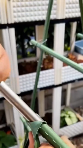 Plastic coated steel pipe horticultural bracket plant growth support pole climbing trellis