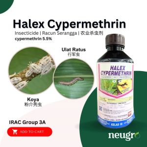 Halex Cypermethrin (1L) Cypermethrin 5.5% - Aphid Fruit Borer Insectide Racun Serangga Kutu Daun Ulat Pengorek Buah Ulat Ratus