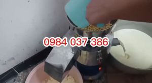 Máy xay đậu nành (xay và vắt kết hợp liên hoàn) công suất 750W
