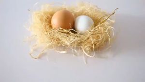 Bird nest materials Natural nesting material for love birds cockatiel accessories