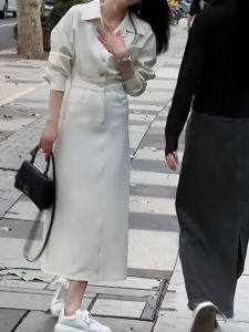 Elegant French High-End Womens Dress Slimming Long Skirt Formal Occasion A-Line Midi Dress Button Detail Korean Style Long Sleeve