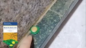 Membunuh semua Lipas umpan pembunuh Lipas berkesan Lipas membunuh umpan Gel selamat Non-toxi Lipas Eliminator Gel dapur rumah Ubat Lipas Gel