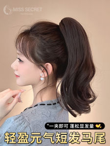 ผมปลอมยาวคล้ายธรรมชาติสำหรับผู้หญิง มีคลิปผมหางม้าสูง มีคลิปผมหางม้าปลอม ทรงผมคลื่นใหญ่ธรรมชาติ