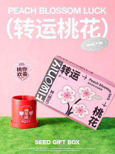 Quà Tặng Sinh Nhật Sáng Tạo DIY Thủ Công Cao Cấp Cho Bạn Thân Quà Tặng Phong Cách Tươi Mới Trang Trí Phòng Đồ Dùng Lễ Hội