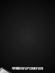 【Penghantaran Damacang】【Selamat dan Tidak Panas】Set Pengecas China Serasi dengan Pengecas Apple PD  14/13/12 Kepala Pengecasan Pantas dengan Kabel Data