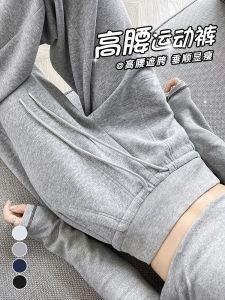 Gray Fleece Lined Loose Casual Sports Pants High Waist Straight Leg Wide Leg Trousers for Women Spring Autumn Winter New Style