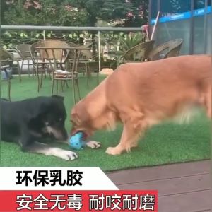 ของเล่นสุนัข มีเสียง รูปหมู สําหรับสัตว์เลี้ยง สามารถดึงดูดความสนใจของน้อง