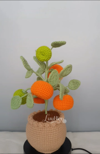 Chậu cây móc len handmade chậu cây quất / quýt cảnh– quà tặng decor để bàn xinh xắn | LuuHienYarn