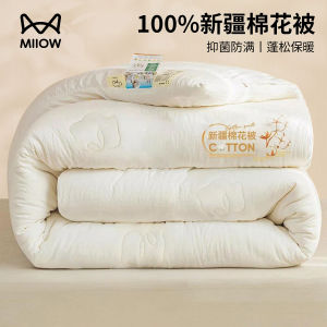 A-Class Antibacterial Dustproof Thickened Cotton Quilt Spring Autumn Quilt Winter Warm Cotton Bedding Core Four Seasons Universal