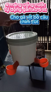 🐥 4 Máng Uống Nước Tự Động Gắn Xô 5 Lít Dành Cho Gà Vịt Bồ Câu Chim Cút