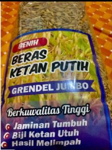 PROMO MURAH 1 KG BENIH PADI KETAN PUTIH GRENDEL