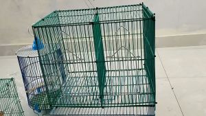 Lồng chim 2 ngăn Nuôi Chim Hút mậtốc mítChim SâuKhuyên Lồng vuông Nuôi Nhiều Loại Chim sóc chuột