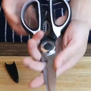 Stainless Steel Multipurpose Kitchen Scissors for Cutting Meat Vegetables and Bones with Comfort Grip Handle