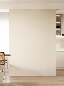 Wall Mirror Full Length Wall Mirror Full Length Mirror With Storage Full Body Mirror Wall Mount Mirror With Rack Closed Invisible Dressing Mirror Bedroom Covering Fitting 镜子全身