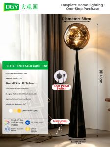 DGY | Volcanic Lava Designer Floor Lamp