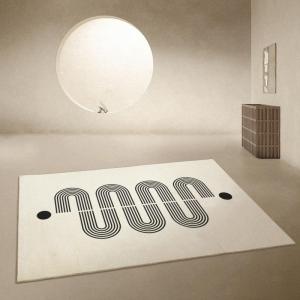 Modern Abstract Morandi Thick Soft Carpet