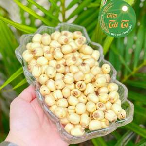 Hạt Sen Khô Huế túi 500g - Hàng Nhập Khẩu Chính Gốc - Hạt thơm ngon bùi