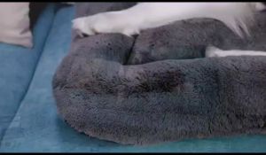 Tempat Tidur Anabul Anjing Dan Kucing Ukuran 90*60 cm PetBed/ Kasur Hewan Peliharaan/ Ranjang Kucing dan Anjing