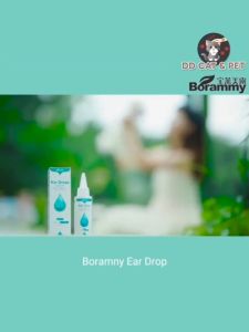 Borammy Pet Ear Cleaner Drops 60ml – Natural Formula Removes Ear Wax & Odor Soothes Itchy Ears Prevents Infections Safe for Cats & Dogs Ear Cleaner Ear Cleaning Ear Wash DD CAT & PET