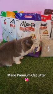 Marie Premium Bentonite Cat Litter Cats Pet Essentials 10L