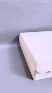 Kotak Nasi R10B Duplek - Kotak Nasi Putih - Kemasan R10B - 350 gsm - Tebal Hemat Langsung Dari Pabrik Termurah