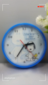 [ Woosilver ] Đồng Hồ Treo Tường Seconhand - ĐHTT65