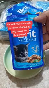 All Stages 100g Brit Premium Pouch in Gravy Chunk Delicate Meat Adult Kitten Cat Wet Food Cat Essentials