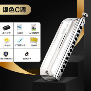 EASTTOP Professional 12-Hole Titanium Metal Grid Chromatic Harmonica ETP-12 for Performances And Practice Oriental Design
