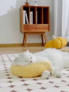 Bantal Berlaku Untuk Kucing Anjing - Tahan Aus Tahan Gigitan Bantal Hewan Peliharaan - Menggoda Kucing Anjing
