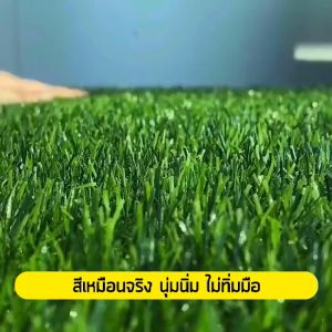 2M-25M หญ้าสูง 1.0-3.0cm ระบบเทียม น้ำใส ราคาโรงงาน