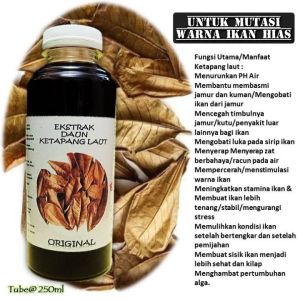 ekstrak daun ketapang laut khusus untuk mutasi warna chana dan cupang